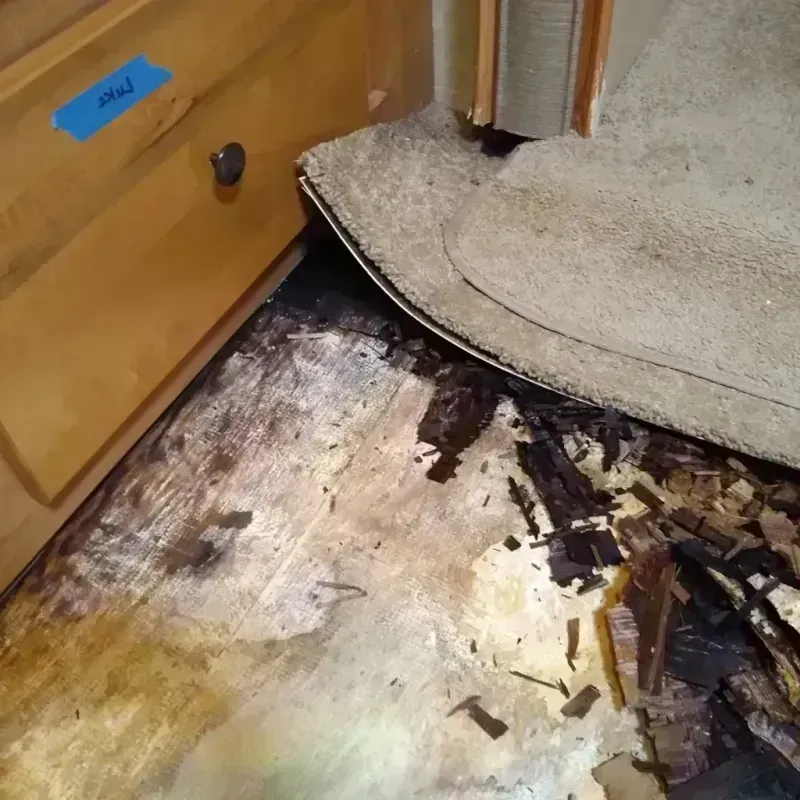 Wood Floor Water Damage in Monongah, WV